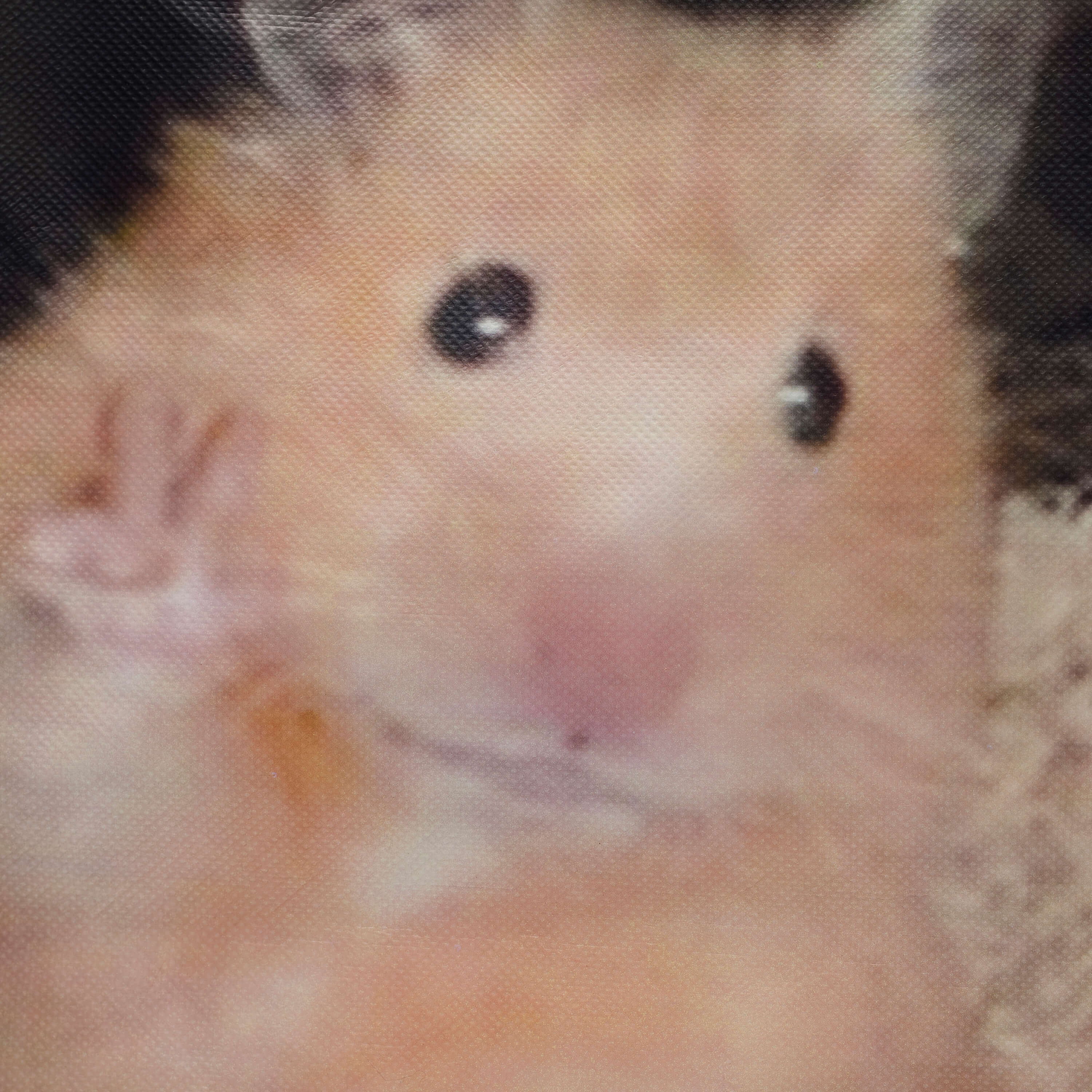 KOI Hamster Tote Bag - Image 3